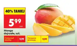 Biedronka Mango dojrzałe oferta
