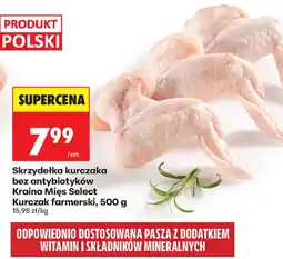 Biedronka Skrzydełka kurczaka bez antybiotyków Kraina Mięs Select oferta