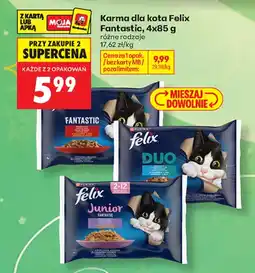 Biedronka Karma dla kota Felix Fantastic oferta