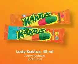 Biedronka Lody Kaktus oferta