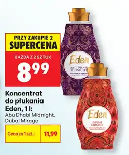 Biedronka Konzentrat do płukania Eden oferta