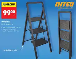 Biedronka Drabinka 3-stopniowa Niteo oferta
