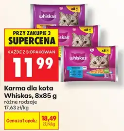 Biedronka Karma dla kota Whiskas oferta