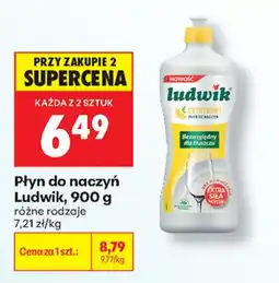 Biedronka Płyn do naczyń Ludwik oferta