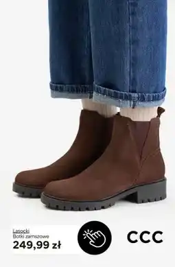 CCC Botki zamszowe Lasocki oferta