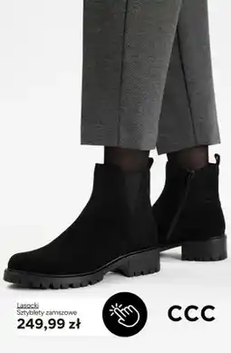 CCC Sztyblety zamszowe Lasocki oferta