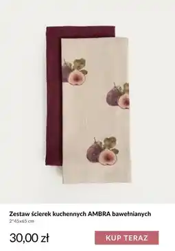 Homla Zestaw ścierek kuchennych Ambra bawełnianych 2-pak 45x65 cm oferta