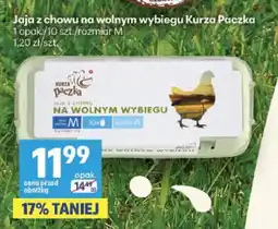 Delikatesy Centrum Jajka kurze z chowu na wolnym wybiegu rozmiar M Kurza Paczka oferta