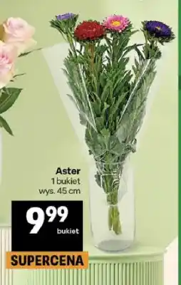 Delikatesy Centrum Aster oferta