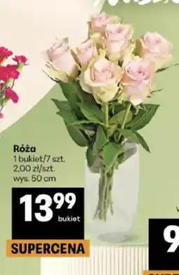 Delikatesy Centrum Róża oferta