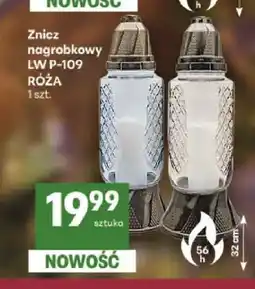 Delikatesy Centrum Znicz nagrobkowy Lw P-109 Róża oferta