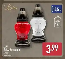 ALDI Znicz Serce mini Luks oferta