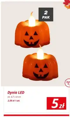 KiK Dynia LED 2-pak oferta