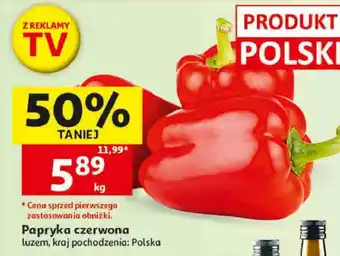 Papryka czerwona