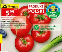 Auchan Pomidory malinowe oferta