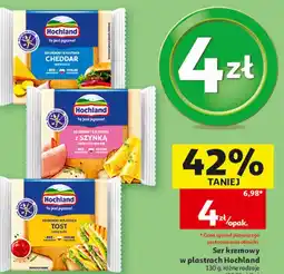Auchan Ser Hochland w plastrach oferta