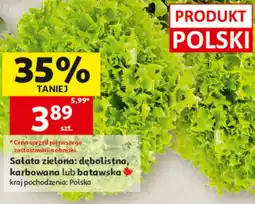 Auchan Sałata Polski oferta