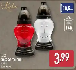 ALDI Znicz Luks oferta