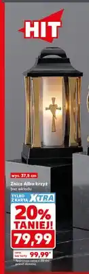 Kaufland Znicz Alba krzyż bez wkładu oferta