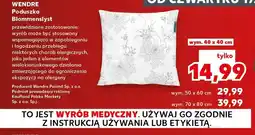 Kaufland Poduszka Blommenslyst 40x40 cm Wendre oferta