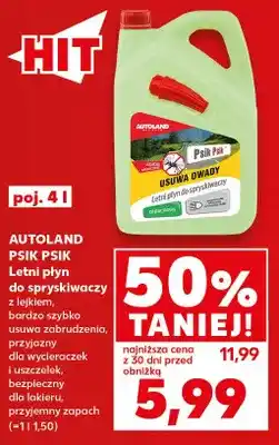 Kaufland Letni płyn do spryskiwaczy z lejkiem Psik Psik Autoland oferta