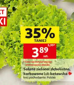 Auchan Sałata Zielona Sowa oferta