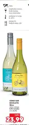 Kaufland Wino białe Cono Sur Bicicleta Sauvignon Blanc oferta
