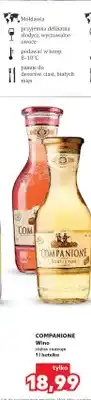 Kaufland Wino białe Companione Sauvignon oferta