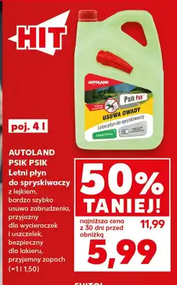 Kaufland Płyn do spryskiwaczy Psik Psik oferta