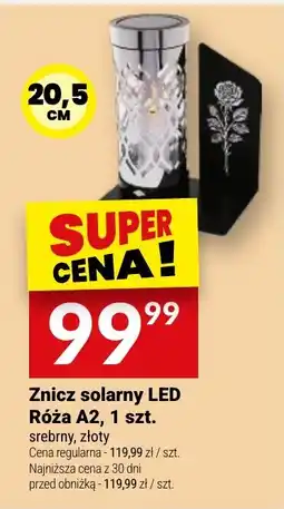 Twój Market Znicz solarny LED Róża A2 oferta