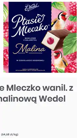 Dino Ptasie Mleczko wanil. z gal malinową Wedel oferta