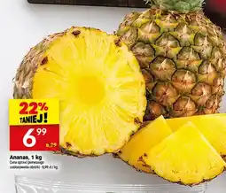 Twój Market Ananas oferta
