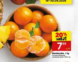 Twój Market Mandarynki oferta