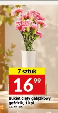 Twój Market Bukiet cięty gałązkowy goździk oferta