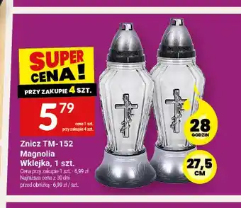 Twój Market Znicz TM-152 Magnolia Wklejka oferta