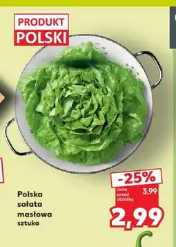 Kaufland Sałata masłowa polska oferta