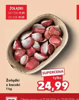 Kaufland Żołądki z kaczki oferta