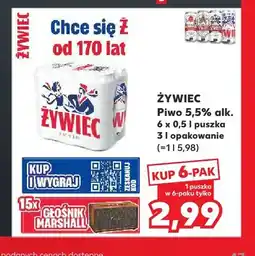 Kaufland Piwo Żywiec 6-pak oferta