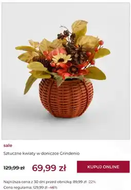 Home&You Sztuczne kwiaty w doniczce Grindenio home & you oferta