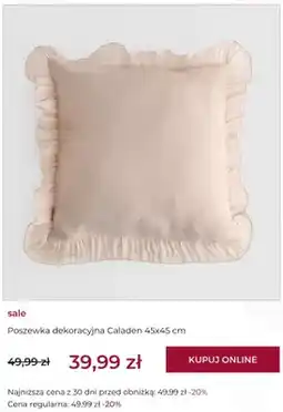 Home&You Poszewka dekoracyjna Caladen 45x45 cm home & you oferta