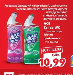 Kaufland Żel do WC Ace oferta