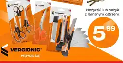 Polomarket Nożyczki uniwersalne 3 sztuki Vergionic oferta