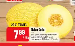 Polomarket Melon Galia oferta