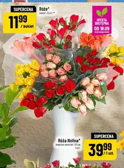 Polomarket Róże bukiet 9 szt oferta