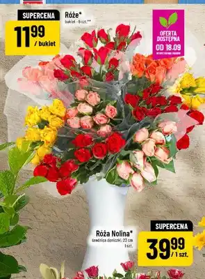 Polomarket Róże bukiet 9 szt oferta