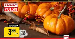 Polomarket Dynia Spitfire oferta