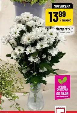 Polomarket Margaretki bukiet 5 szt oferta