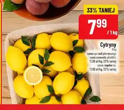 Polomarket Cytryny oferta