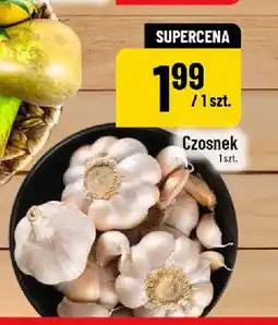 Polomarket Czosnek oferta