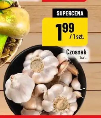 Polomarket Czosnek oferta